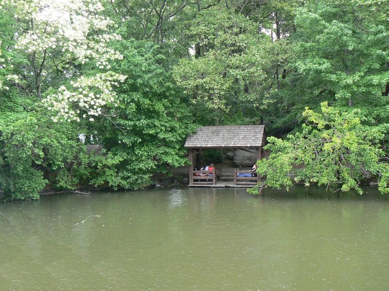 Central Park et autour: Central Park 4